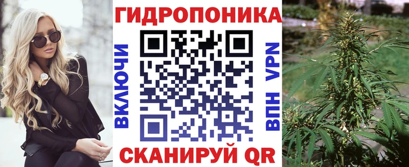 Купить наркотики цена Новосиль Метадон  А ПВП  ссылка на мегу tor  Каннабис  Меф 