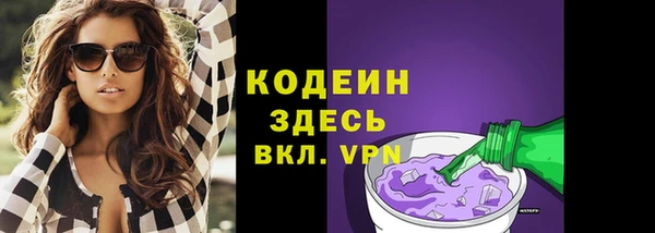 МДПВ Карпинск