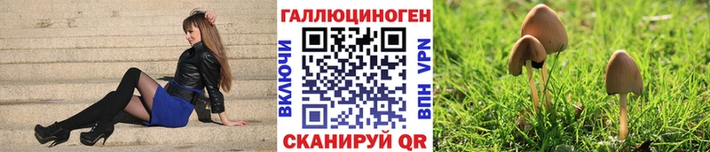 omg сайт  где купить наркоту  Новосиль  Галлюциногенные грибы GOLDEN TEACHER 